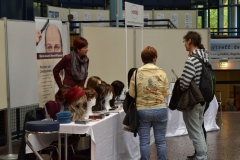 Gendertreff Messe & Fachtagung-2017